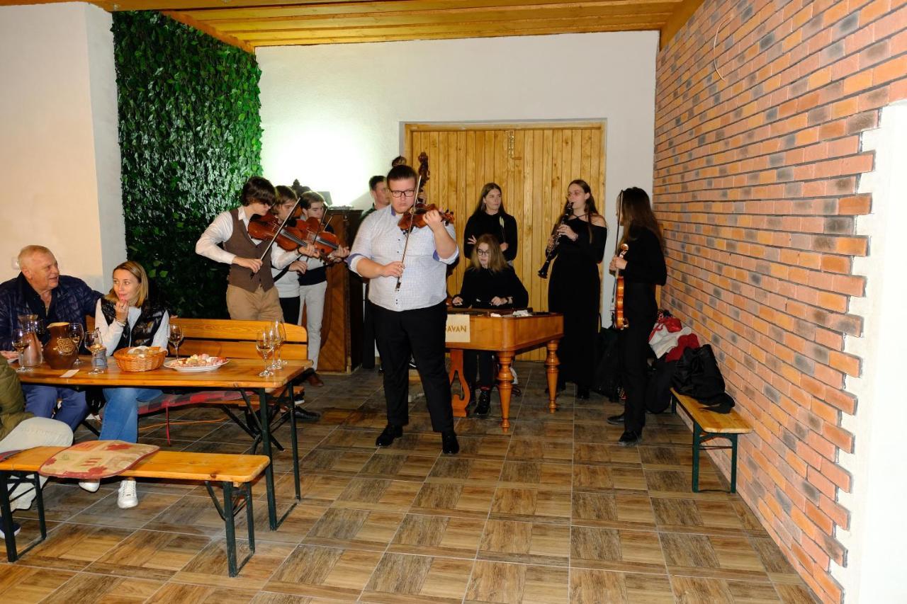 Hotel Privat Bohemia à Šatov Extérieur photo